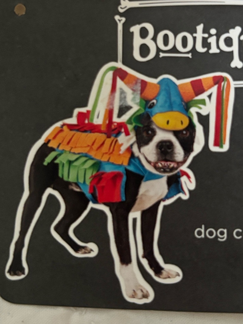 Bootique Piñata 🪅 Dog Costume